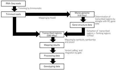 Development of Genome-Wide SNP Markers for Barley via Reference- Based RNA-Seq Analysis